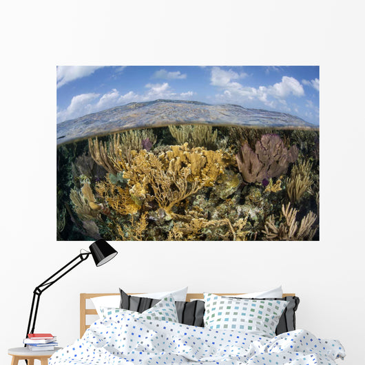 Gorgonians and Reef-building Corals Wall Decal Design 1