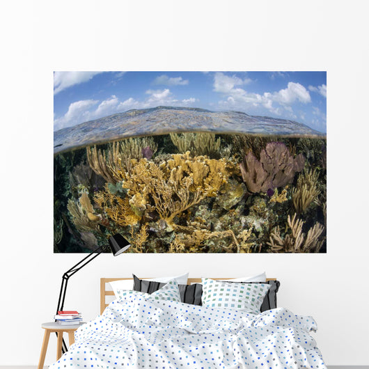 Gorgonians and Reef-building Corals Wall Decal Design 1