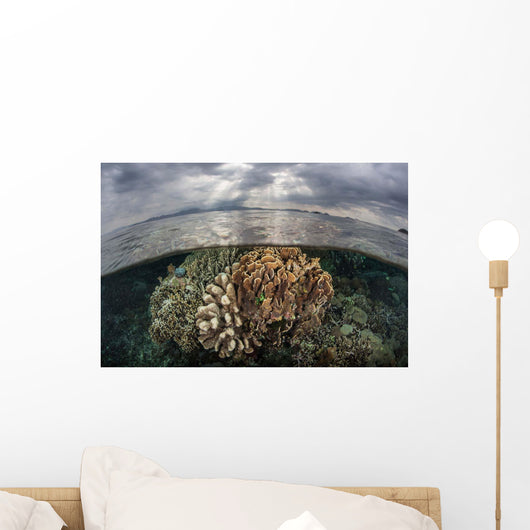 Sunlight Falls Beautiful Reef Wall Decal Design 3