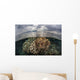 Sunlight Falls Beautiful Reef Wall Decal Design 3