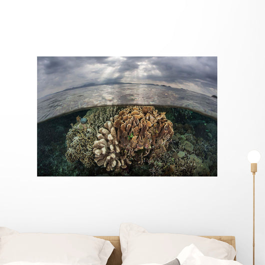 Sunlight Falls Beautiful Reef Wall Decal Design 3