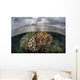Sunlight Falls Beautiful Reef Wall Decal Design 3