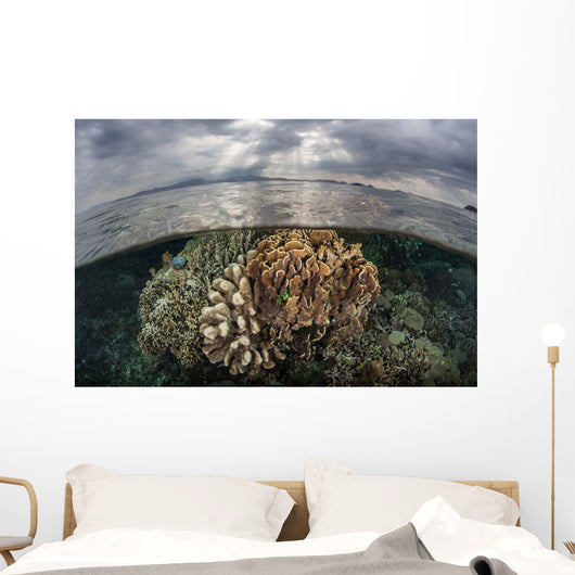 Sunlight Falls Beautiful Reef Wall Decal Design 3