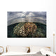 Sunlight Falls Beautiful Reef Wall Decal Design 3