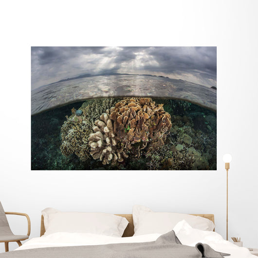 Sunlight Falls Beautiful Reef Wall Decal Design 3