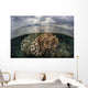 Sunlight Falls Beautiful Reef Wall Decal Design 3