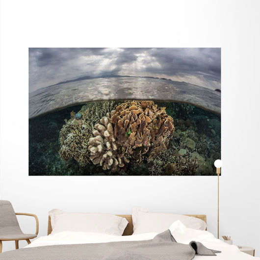 Sunlight Falls Beautiful Reef Wall Decal Design 3