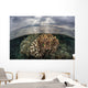 Sunlight Falls Beautiful Reef Wall Decal Design 3