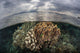 Sunlight Falls Beautiful Reef Wall Decal Design 3