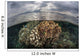 Sunlight Falls Beautiful Reef Wall Decal Design 3