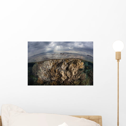 Sunlight Falls Beautiful Reef Wall Decal Design 2