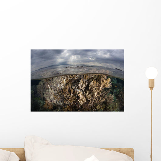 Sunlight Falls Beautiful Reef Wall Decal Design 2