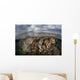Sunlight Falls Beautiful Reef Wall Decal Design 2