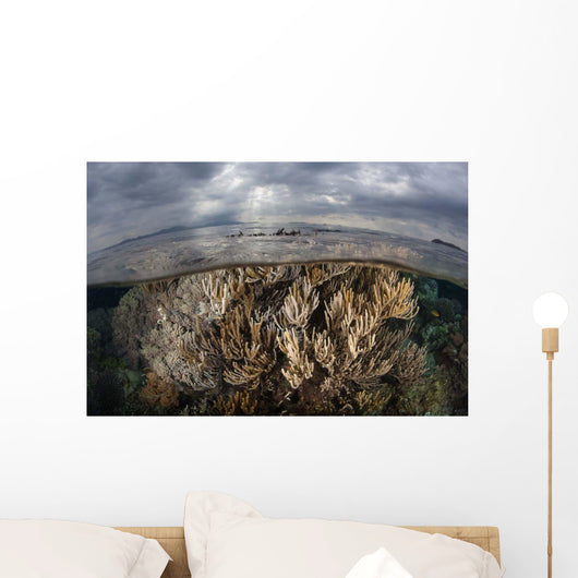 Sunlight Falls Beautiful Reef Wall Decal Design 2