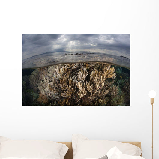 Sunlight Falls Beautiful Reef Wall Decal Design 2