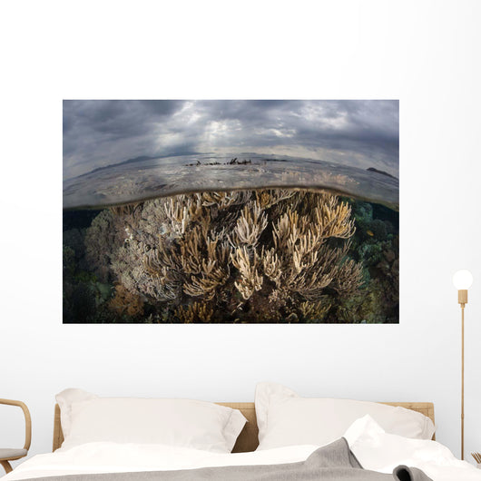 Sunlight Falls Beautiful Reef Wall Decal Design 2