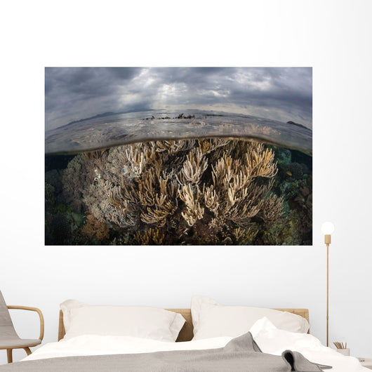 Sunlight Falls Beautiful Reef Wall Decal Design 2