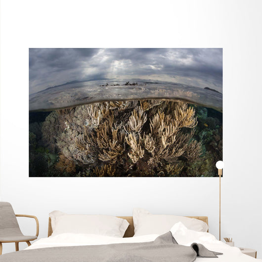 Sunlight Falls Beautiful Reef Wall Decal Design 2