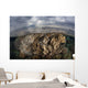Sunlight Falls Beautiful Reef Wall Decal Design 2