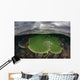 Sunlight Falls Beautiful Reef Wall Decal Design 1