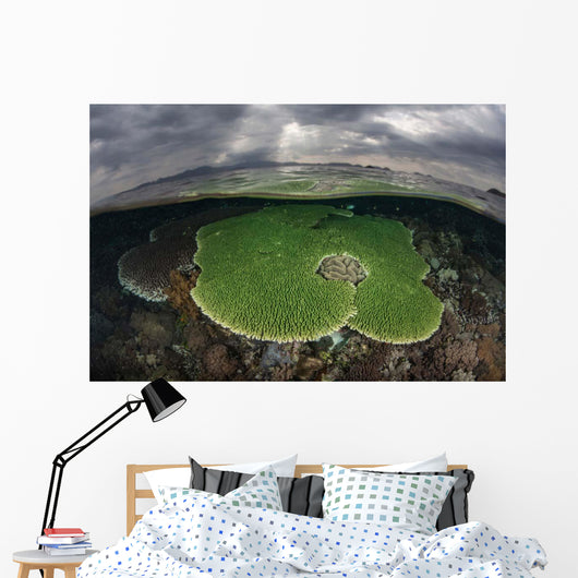 Sunlight Falls Beautiful Reef Wall Decal Design 1