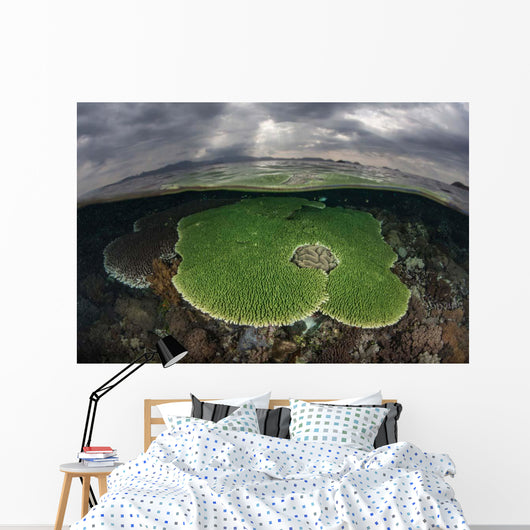 Sunlight Falls Beautiful Reef Wall Decal Design 1