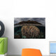 Fragile Corals Grow Komodo Wall Decal