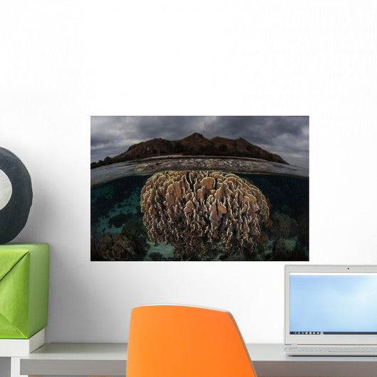 Fragile Corals Grow Komodo Wall Decal