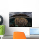 Fragile Corals Grow Komodo Wall Decal