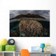 Fragile Corals Grow Komodo Wall Decal