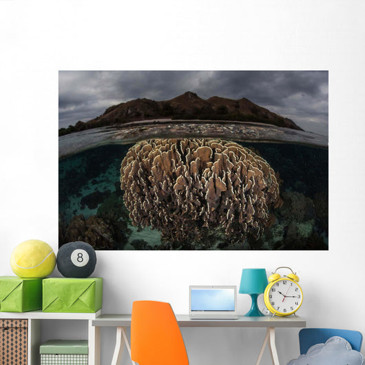 Fragile Corals Grow Komodo Wall Decal