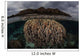 Fragile Corals Grow Komodo Wall Decal