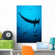 Scalloped Hammerhead Shark Swims Wall Decal