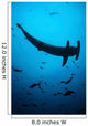 Scalloped Hammerhead Shark Swims Wall Decal