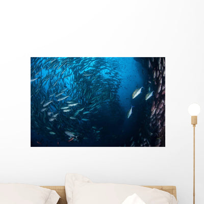 Large School Trevally near Wall Decal shown on a wall