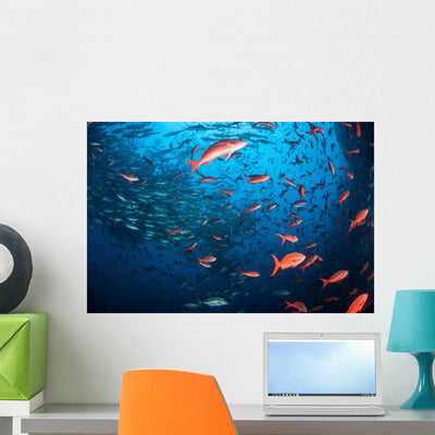 Schooling Fish Swim near Wall Decal shown on a wall