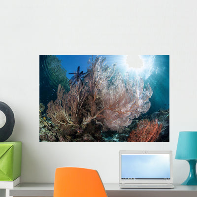 Sunlight Illuminates Large Gorgonian Wall Decal Design 3 shown on a wall