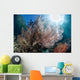 Sunlight Illuminates Large Gorgonian Wall Decal Design 3