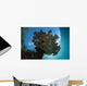 Sunlight Silhouettes Table Coral Wall Decal