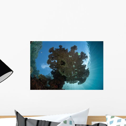 Sunlight Silhouettes Table Coral Wall Decal