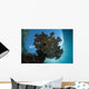 Sunlight Silhouettes Table Coral Wall Decal