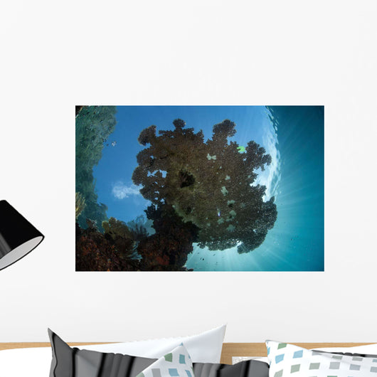 Sunlight Silhouettes Table Coral Wall Decal