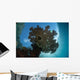 Sunlight Silhouettes Table Coral Wall Decal