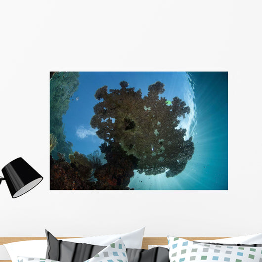 Sunlight Silhouettes Table Coral Wall Decal