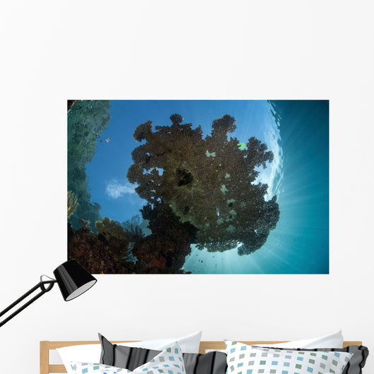 Sunlight Silhouettes Table Coral Wall Decal