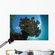 Sunlight Silhouettes Table Coral Wall Decal