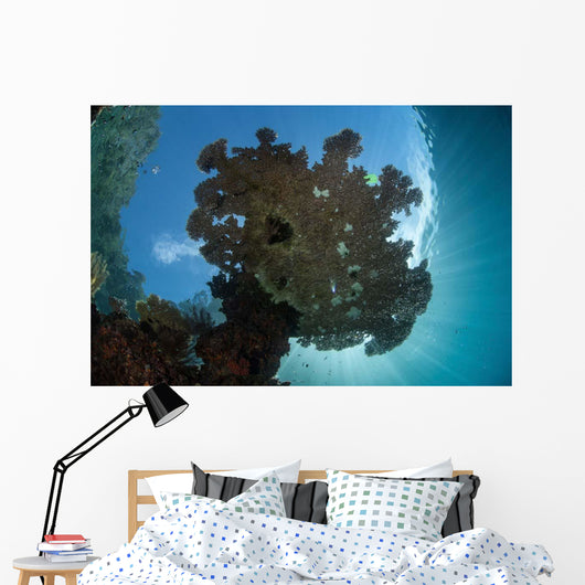Sunlight Silhouettes Table Coral Wall Decal