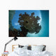 Sunlight Silhouettes Table Coral Wall Decal