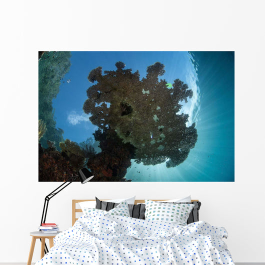 Sunlight Silhouettes Table Coral Wall Decal