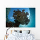 Sunlight Silhouettes Table Coral Wall Decal